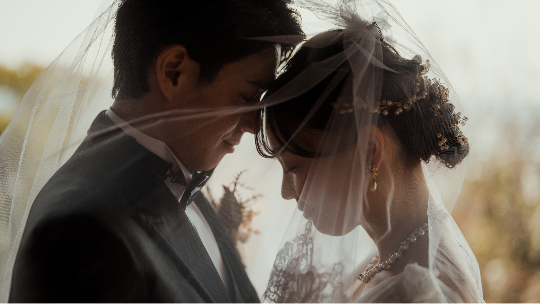 Wedding couple under a veil